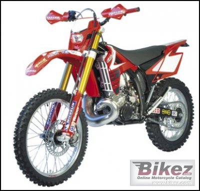 2008 gas gas ec 250 racing photo